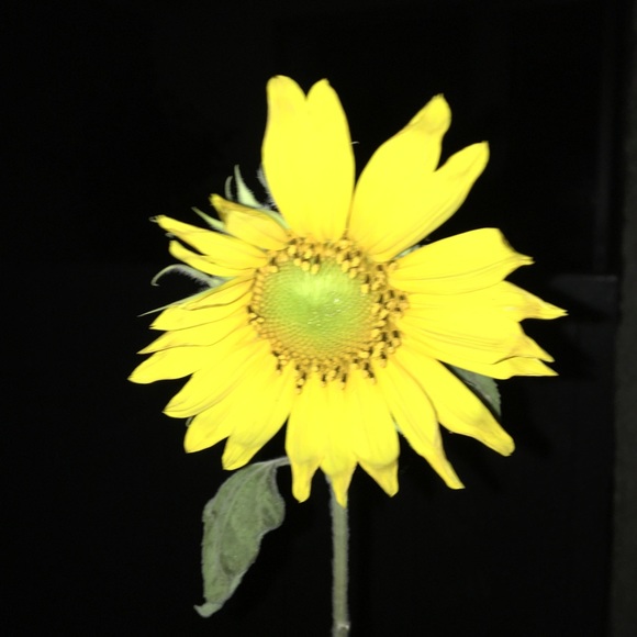 Offers Welcome! ❤️ - Picture 1 of 2